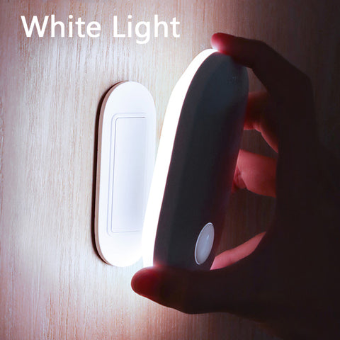 Human induction home light