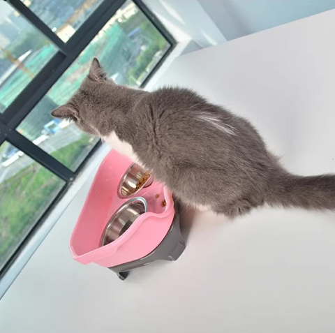 Pet food bowl